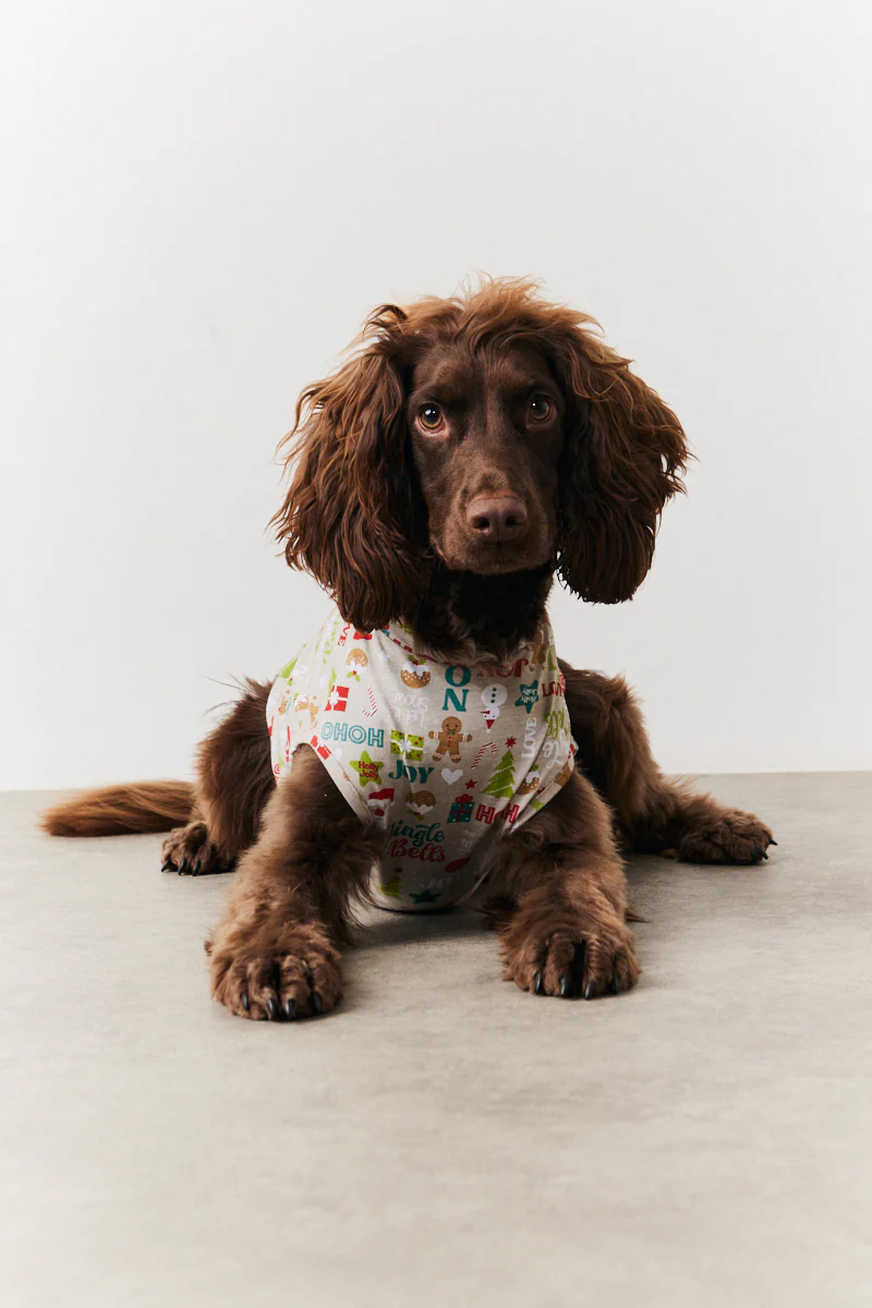 Dog Noel Print Pyjama - Image 3