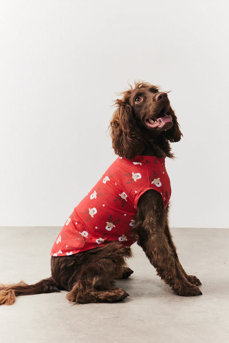 Dog Reindeer Print Pyjama - Image 2