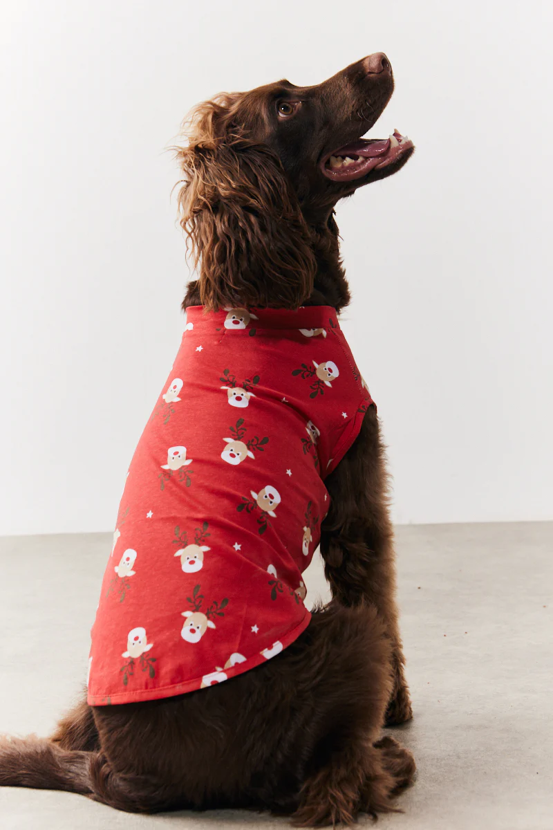 Dog Reindeer Print Pyjama - Image 3