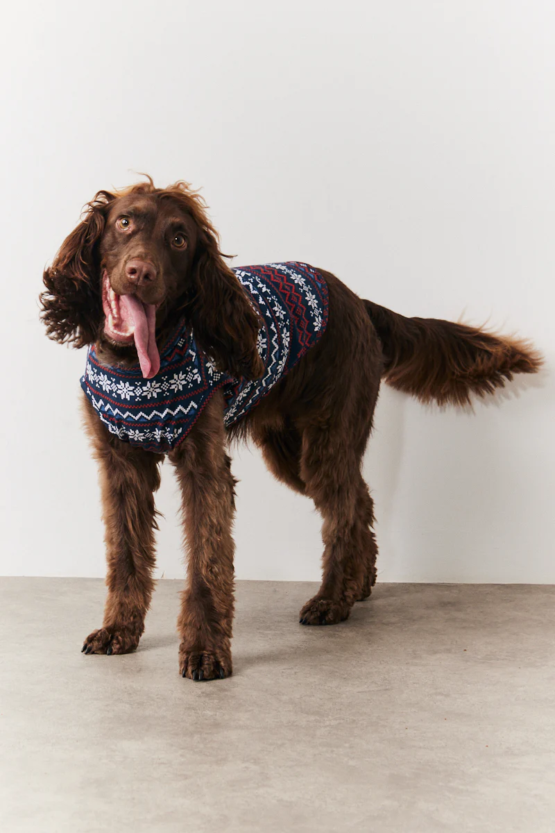 Dog Snowflake Print Pyjama - Image 2