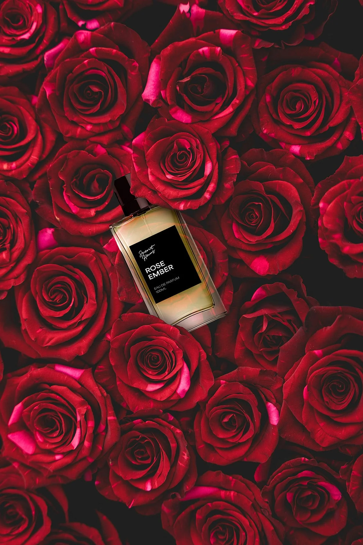 Rose Ember - Inspired by Halfeti - Image 5