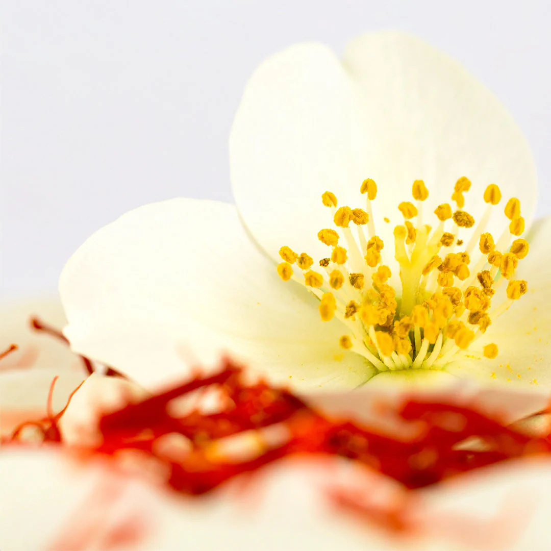 Saffron Luxe - Inspired by Baccarat Rouge 540 - Image 5